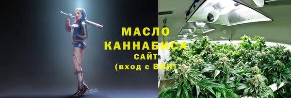 гашик Болотное