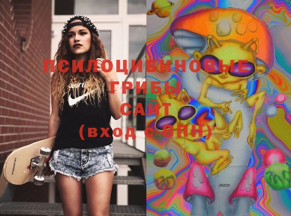 2c-b Нягань