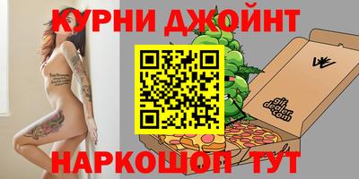 крисы Камышлов