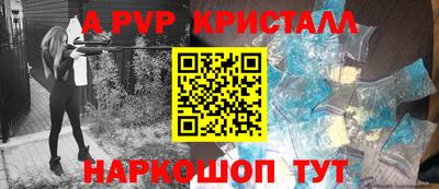 крисы Камышлов