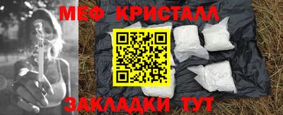 крисы Камышлов