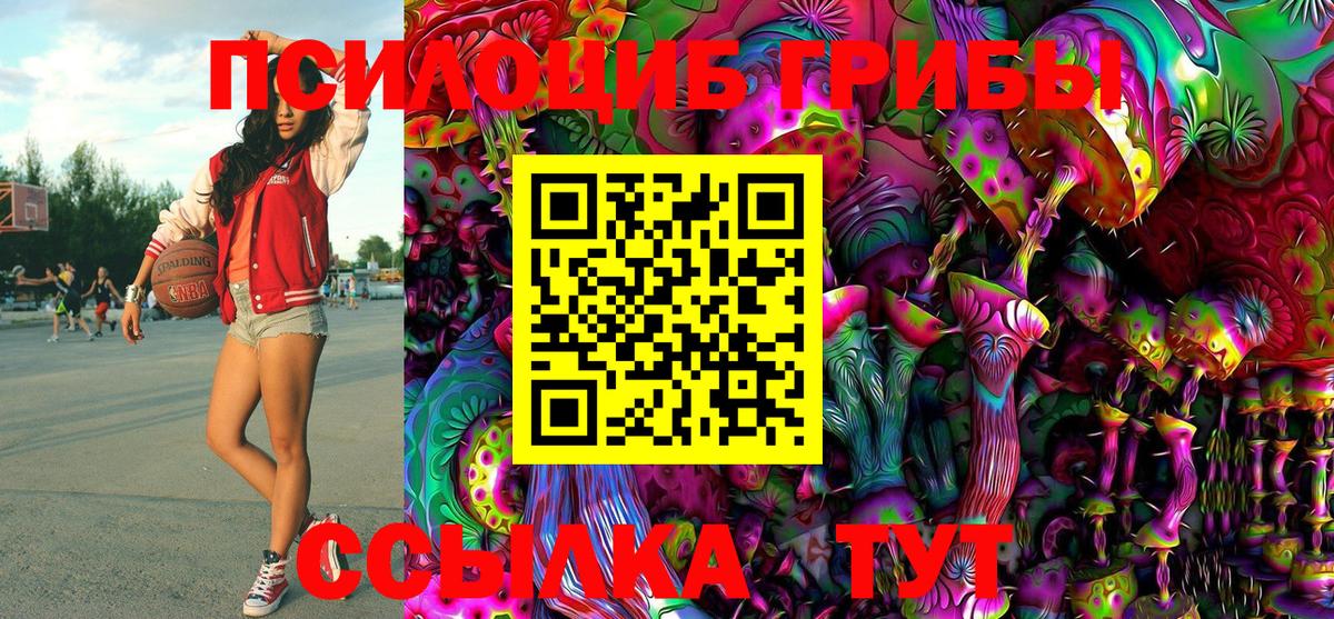 Ульяновск  Псилоцибиновые грибы MAGIC MUSHROOMS  Вход с VPN 